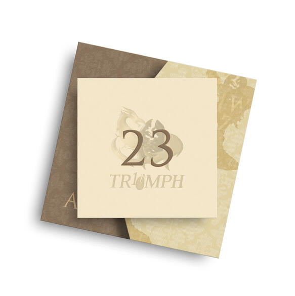 TR10MPH Envelope. Collaboration with Luna Everard.